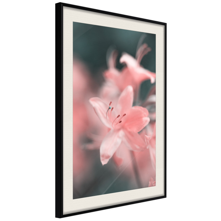 Poster Pastel Flowers - botanical composition with pink floral petals 121616 additionalImage 3