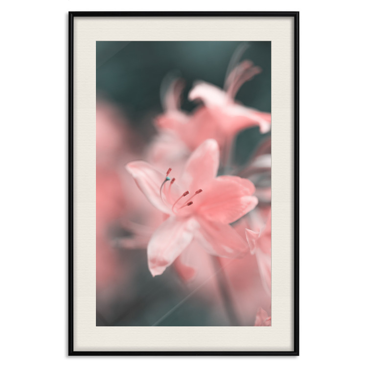 Poster Pastel Flowers - botanical composition with pink floral petals 121616 additionalImage 23