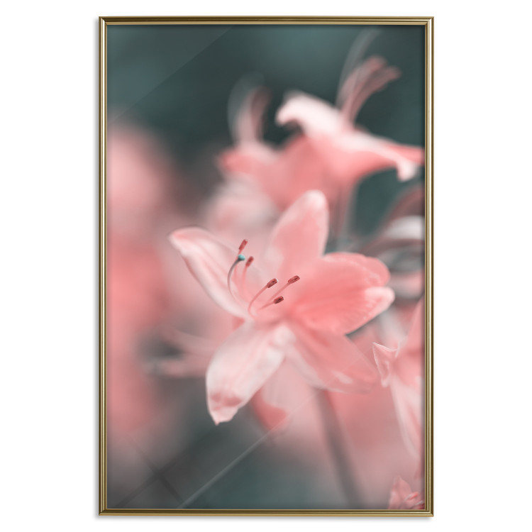 Poster Pastel Flowers - botanical composition with pink floral petals 121616 additionalImage 25