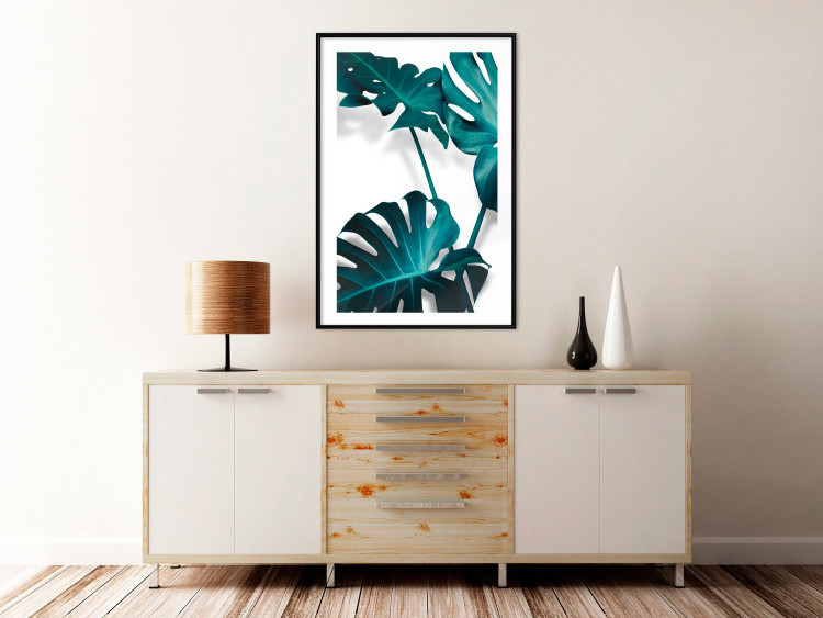 Poster Emerald Nature - tropical green monstera leaves on a white background 123416 additionalImage 4