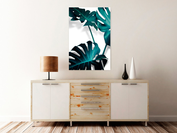 Poster Emerald Nature - tropical green monstera leaves on a white background 123416 additionalImage 17