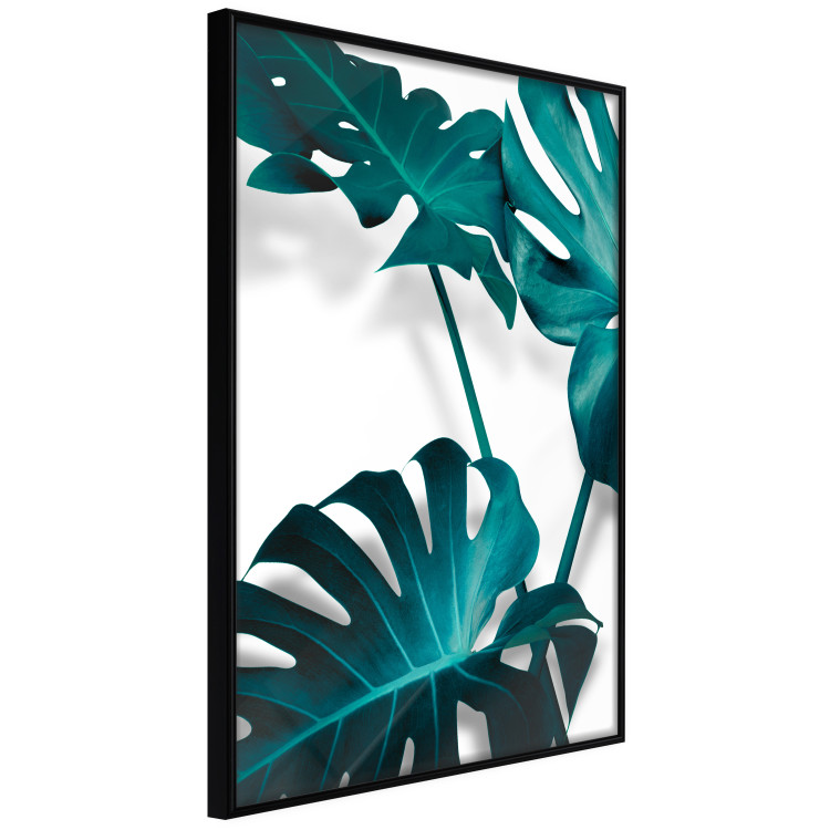 Poster Emerald Nature - tropical green monstera leaves on a white background 123416 additionalImage 10