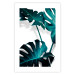 Poster Emerald Nature - tropical green monstera leaves on a white background 123416 additionalThumb 19