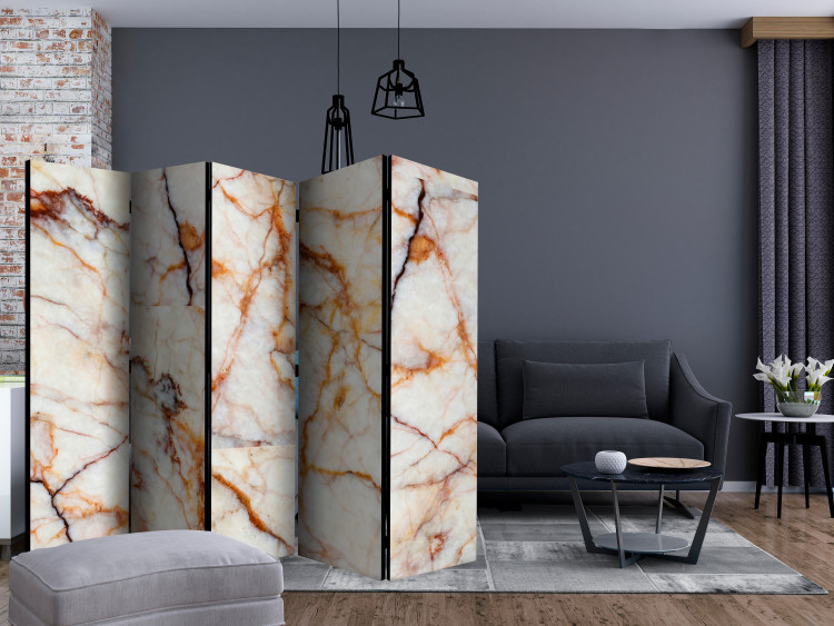Room Separator Marble Slab II (5-piece) - light background with a stone texture 124316 additionalImage 4