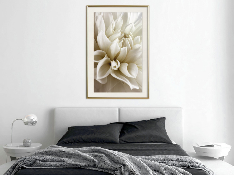 Poster Beautiful Dahlia - velvety white flowers with delicately beige petals 125716 additionalImage 21