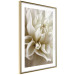Poster Beautiful Dahlia - velvety white flowers with delicately beige petals 125716 additionalThumb 6