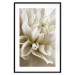 Poster Beautiful Dahlia - velvety white flowers with delicately beige petals 125716 additionalThumb 17