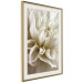 Poster Beautiful Dahlia - velvety white flowers with delicately beige petals 125716 additionalThumb 2