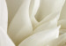 Poster Beautiful Dahlia - velvety white flowers with delicately beige petals 125716 additionalThumb 9