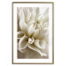 Poster Beautiful Dahlia - velvety white flowers with delicately beige petals 125716 additionalThumb 16