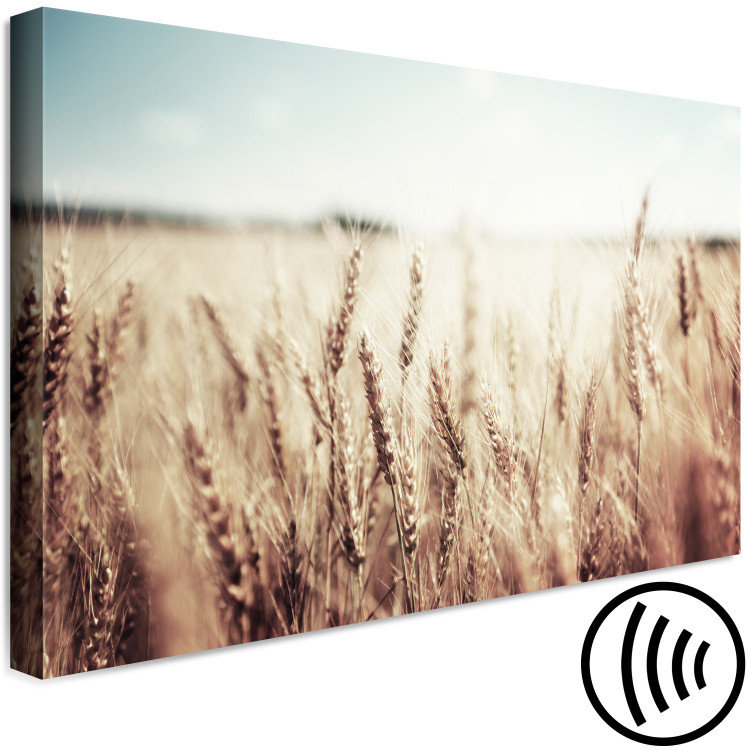 Canvas Print Golden Field (1 Part) Wide 129816 additionalImage 6