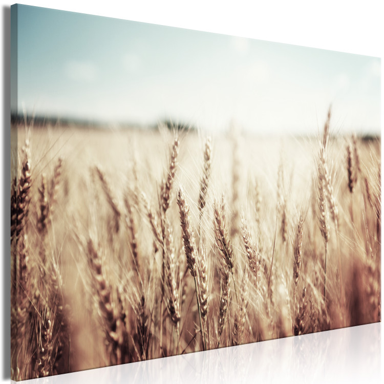 Canvas Print Golden Field (1 Part) Wide 129816 additionalImage 2