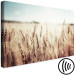 Canvas Print Golden Field (1 Part) Wide 129816 additionalThumb 6
