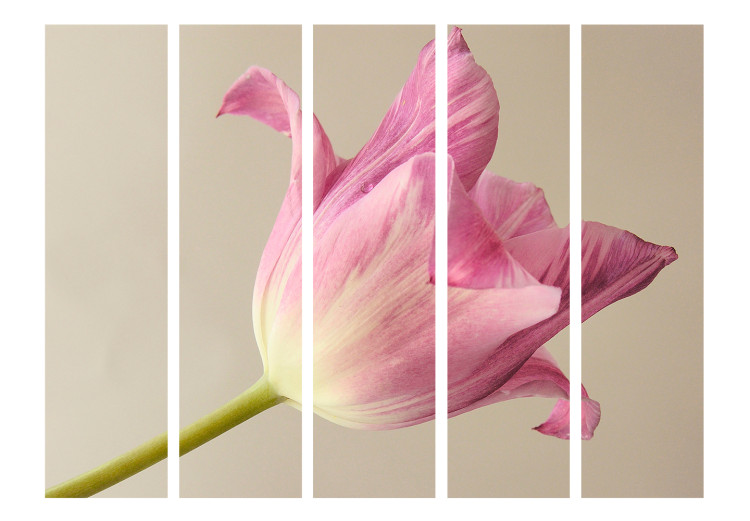 Room Divider Pink Tulip II (5-piece) - pink tulip on a beige background 132816 additionalImage 3