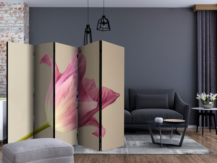 Room Divider Pink Tulip II (5-piece) - pink tulip on a beige background 132816 additionalImage 4