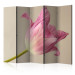Room Divider Pink Tulip II (5-piece) - pink tulip on a beige background 132816