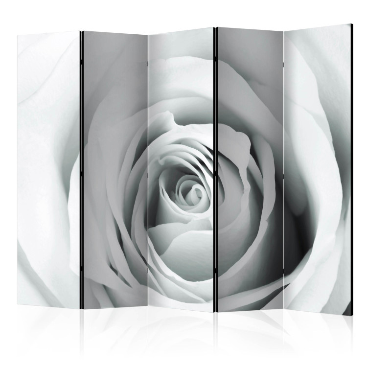 Room Divider Screen Rosy Riddle II (5-piece) - composition with a white rose 133116