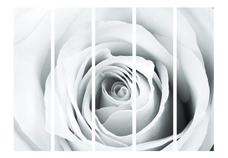 Room Divider Screen Rosy Riddle II (5-piece) - composition with a white rose 133116 additionalImage 3