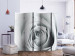 Room Divider Screen Rosy Riddle II (5-piece) - composition with a white rose 133116 additionalThumb 2