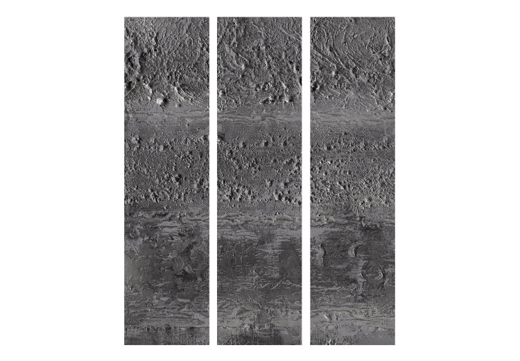 Room Divider Screen Gray Storm - black-and-white sand texture with uneven structure 133616 additionalImage 3