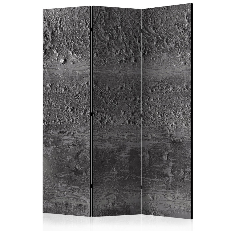 Room Divider Screen Gray Storm - black-and-white sand texture with uneven structure 133616