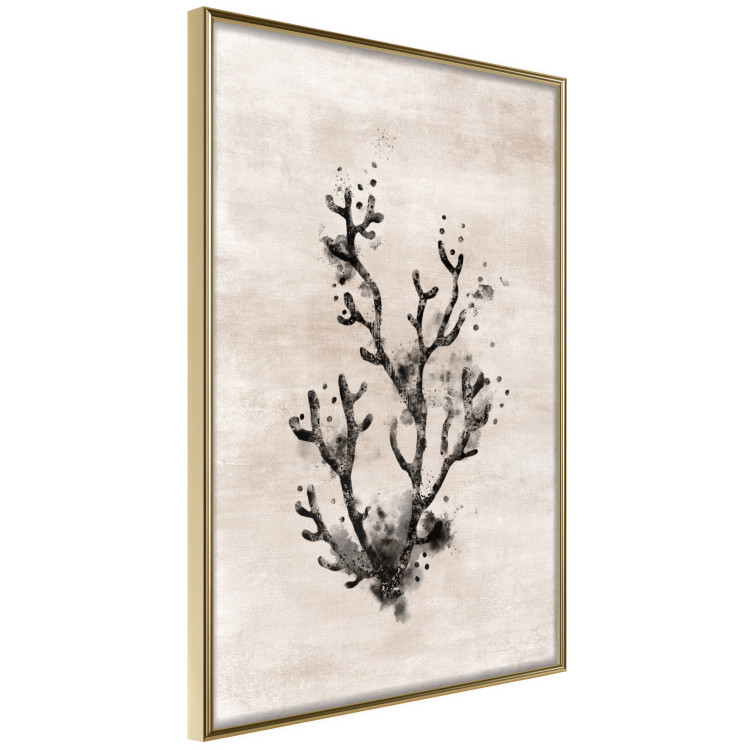 Wall Poster Oceanic Beauty - dark plant composition on a beige textured background 134516 additionalImage 12
