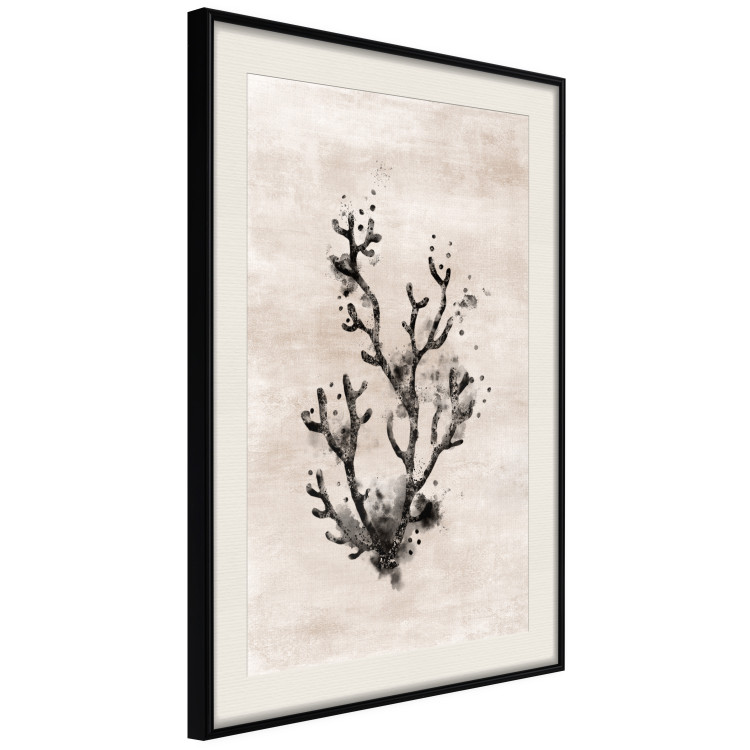 Wall Poster Oceanic Beauty - dark plant composition on a beige textured background 134516 additionalImage 2