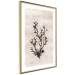 Wall Poster Oceanic Beauty - dark plant composition on a beige textured background 134516 additionalThumb 9