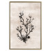 Wall Poster Oceanic Beauty - dark plant composition on a beige textured background 134516 additionalThumb 21