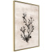 Wall Poster Oceanic Beauty - dark plant composition on a beige textured background 134516 additionalThumb 12
