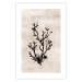 Wall Poster Oceanic Beauty - dark plant composition on a beige textured background 134516 additionalThumb 19