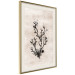 Wall Poster Oceanic Beauty - dark plant composition on a beige textured background 134516 additionalThumb 3