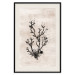 Wall Poster Oceanic Beauty - dark plant composition on a beige textured background 134516 additionalThumb 19