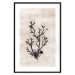 Wall Poster Oceanic Beauty - dark plant composition on a beige textured background 134516 additionalThumb 15