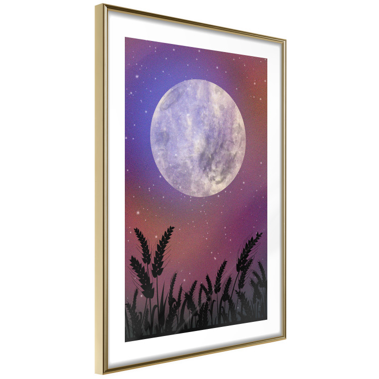 Poster Night in the Countryside - meadow landscape against a cosmic sky and bright moon 138216 additionalImage 2