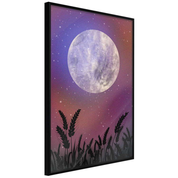 Poster Night in the Countryside - meadow landscape against a cosmic sky and bright moon 138216 additionalImage 3