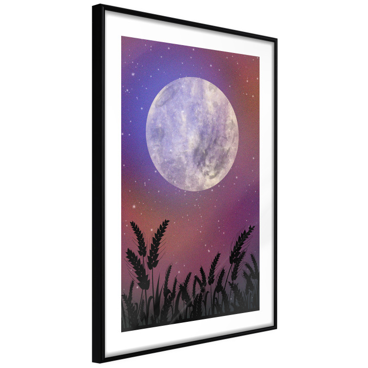 Poster Night in the Countryside - meadow landscape against a cosmic sky and bright moon 138216 additionalImage 5