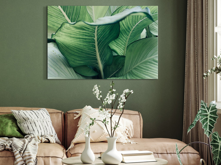 Canvas Nature Up Close (1-piece) - landscape with large exotic leaves 149716 additionalImage 3