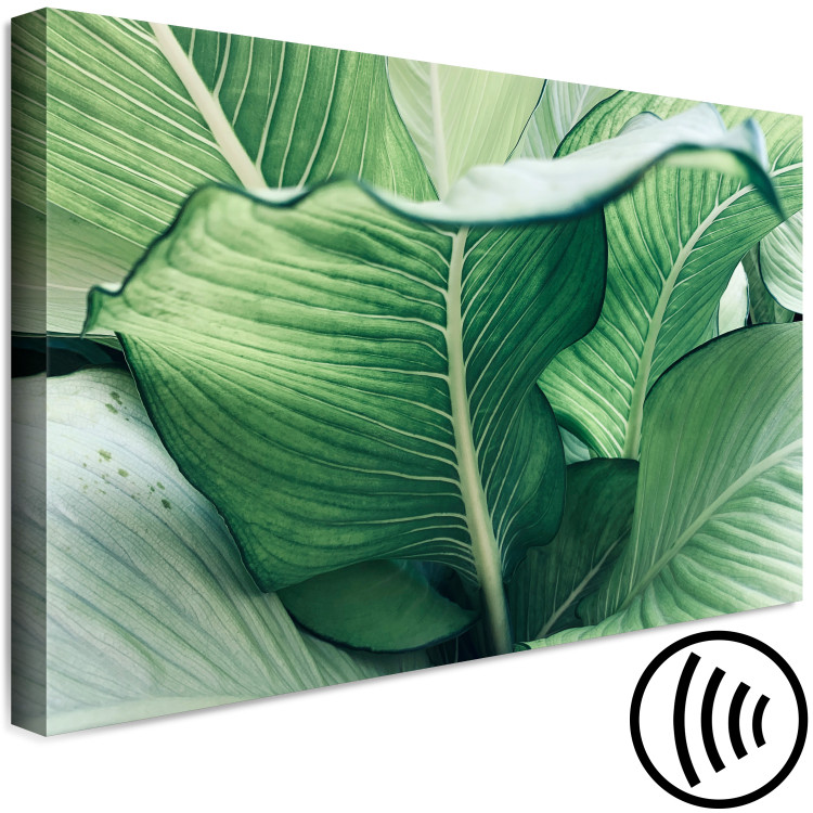 Canvas Nature Up Close (1-piece) - landscape with large exotic leaves 149716 additionalImage 6