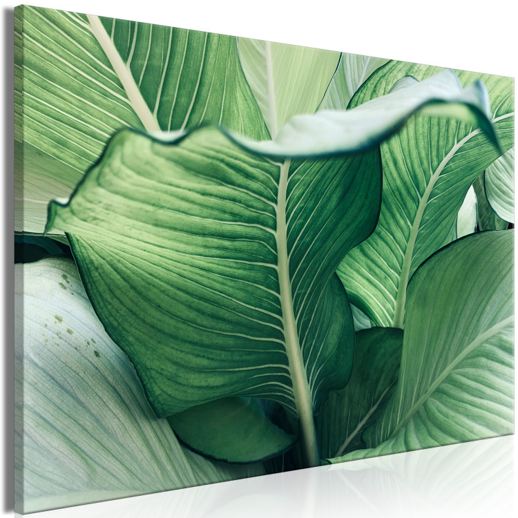 Canvas Nature Up Close (1-piece) - landscape with large exotic leaves 149716 additionalImage 2