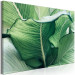 Canvas Nature Up Close (1-piece) - landscape with large exotic leaves 149716 additionalThumb 2