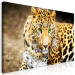 Large canvas print Tiger Gaze II [Large Format] 150716 additionalThumb 2