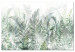 Large canvas print Wild Meadow - Lush Vegetation Growing on a White Background [Large Format] 151516