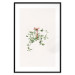Poster Christmas Mistletoe - Illustration of a Branch Tied With a Red Ribbon 151716 additionalThumb 23