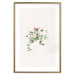 Poster Christmas Mistletoe - Illustration of a Branch Tied With a Red Ribbon 151716 additionalThumb 26
