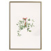 Poster Christmas Mistletoe - Illustration of a Branch Tied With a Red Ribbon 151716 additionalThumb 24