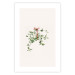 Poster Christmas Mistletoe - Illustration of a Branch Tied With a Red Ribbon 151716 additionalThumb 18