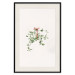 Poster Christmas Mistletoe - Illustration of a Branch Tied With a Red Ribbon 151716 additionalThumb 22