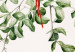 Poster Christmas Mistletoe - Illustration of a Branch Tied With a Red Ribbon 151716 additionalThumb 2