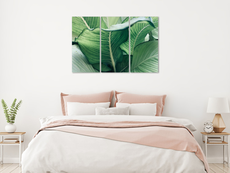 Canvas Print Close to Nature - Large Leaves in Juicy Shades of Green 151816 additionalImage 3
